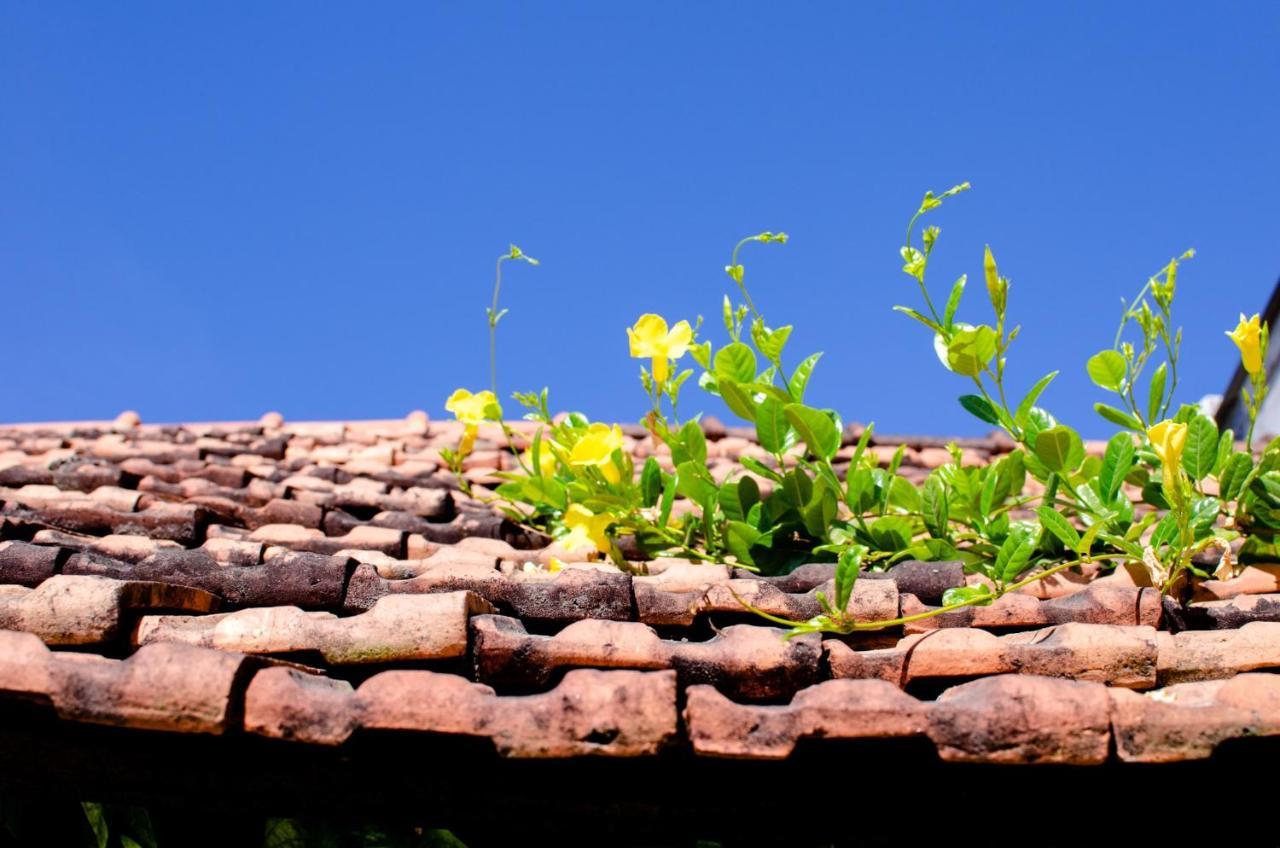 Kontum Home Sweet Homestay Kon Tum Dış mekan fotoğraf